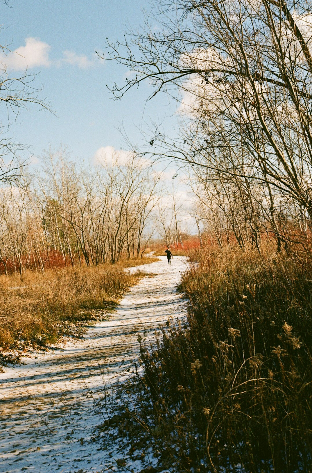 person walking on peaceful path